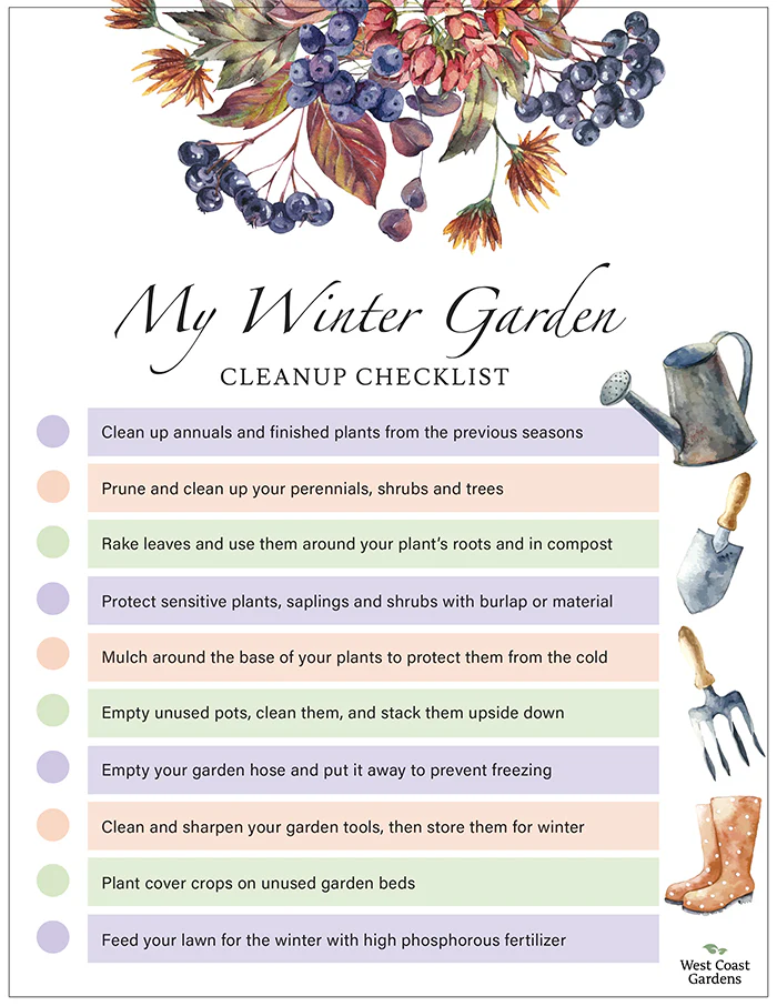 How Can We protect our gardens from winter storm?